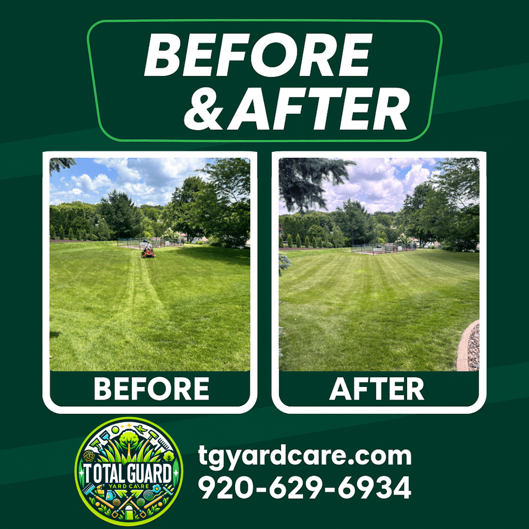Fall Cleanup — Fall Cleanup — TotalGuard Yard Care Madison WI