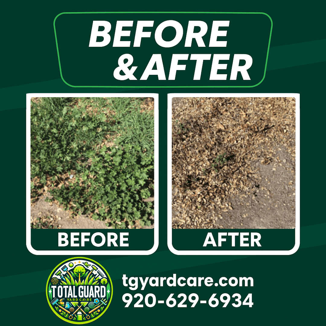 Herbicide — Weed Control Application — TotalGuard Yard Care Madison WI