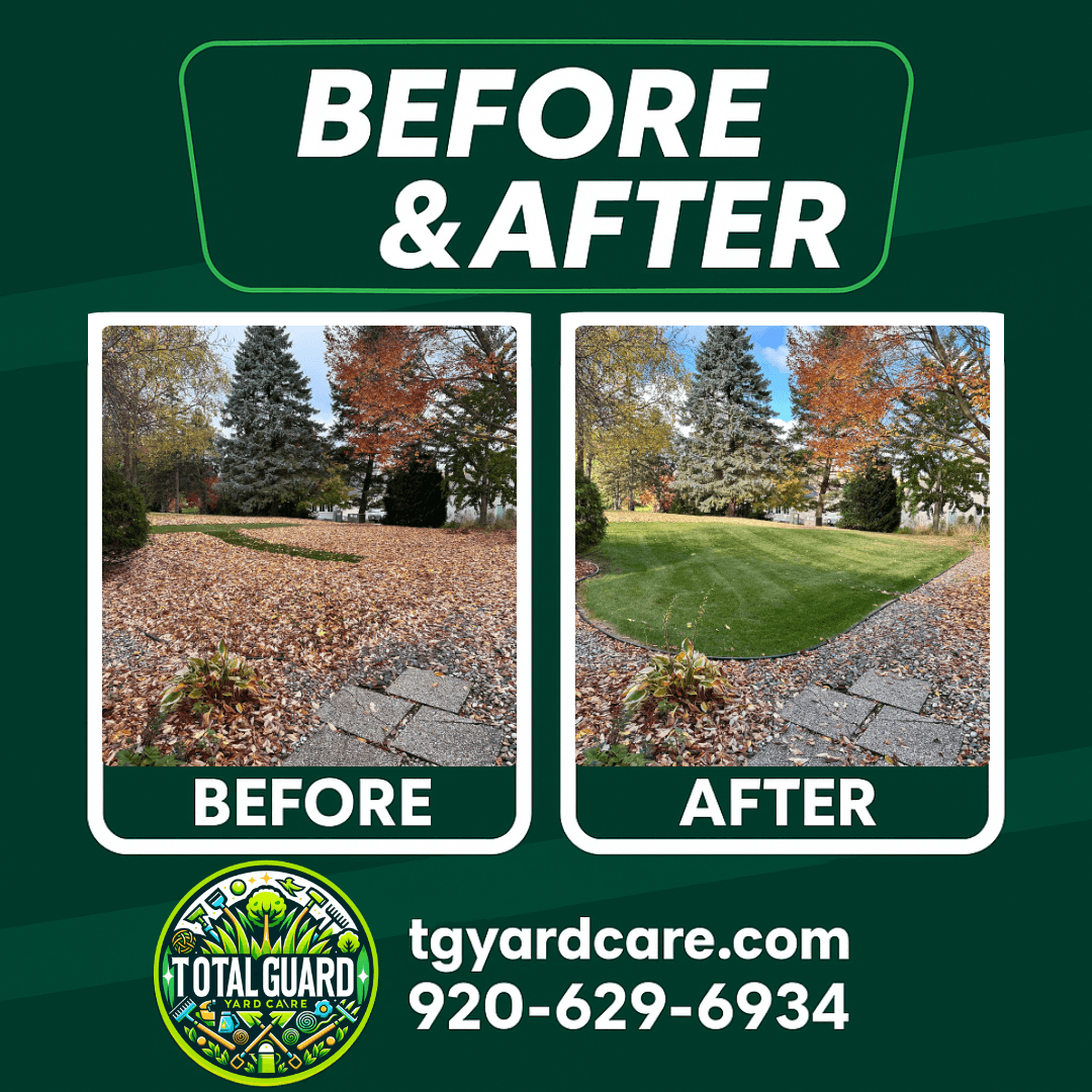 Professional lawn care before and after transformation showing dramatic improvement in lawn quality and appearance - TotalGuard Yard Care Madison WI project 2