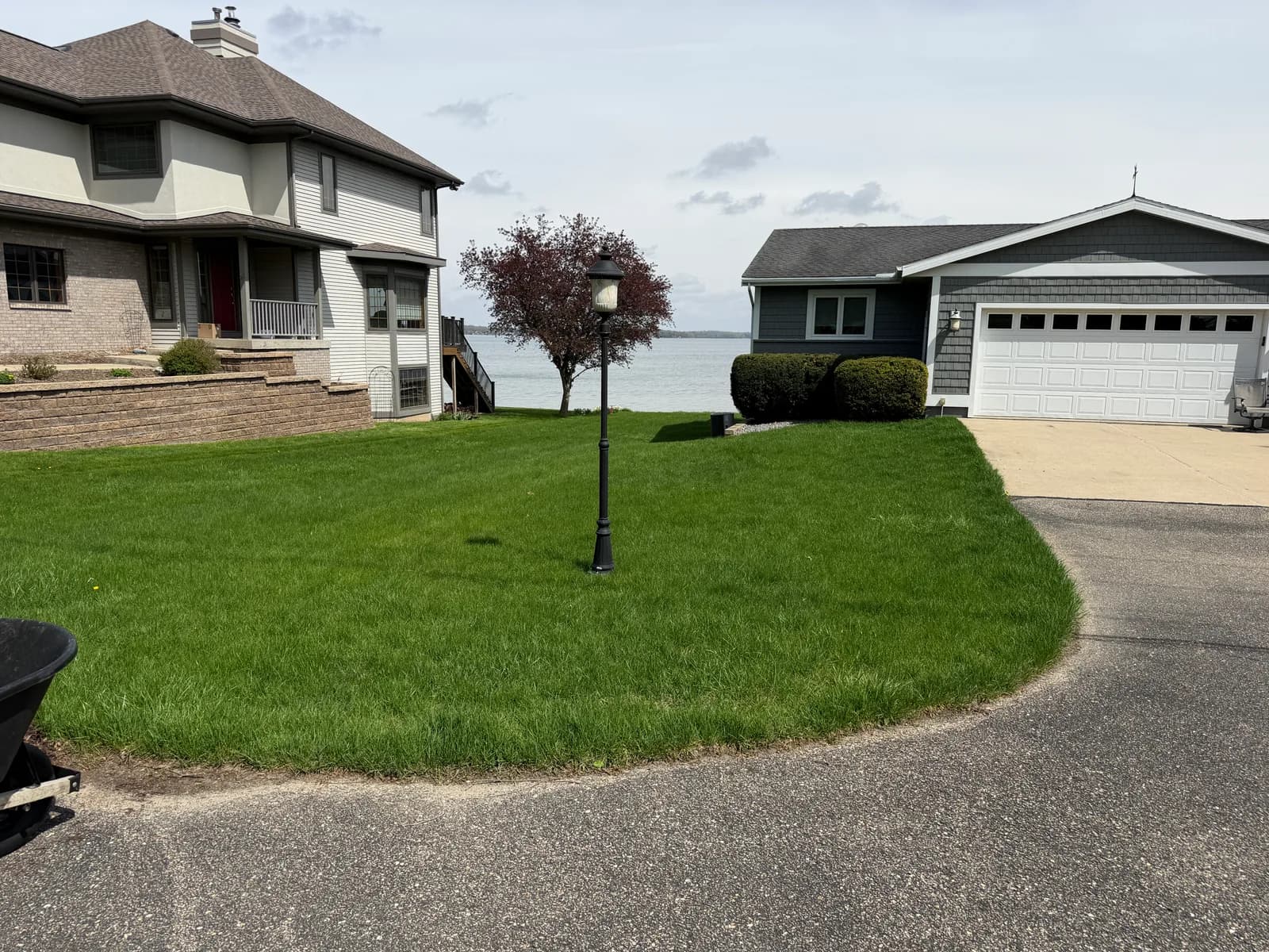 Lakefront lawn before mowing: long, uneven grass with no stripes and a shaggy edge along the driveway