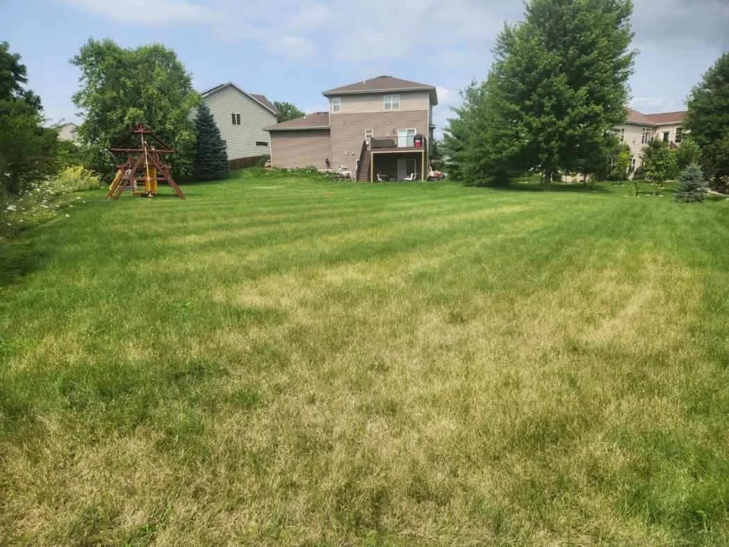 Patchy, uneven lawn with dying grass before TotalGuard weekly mowing service in Madison WI