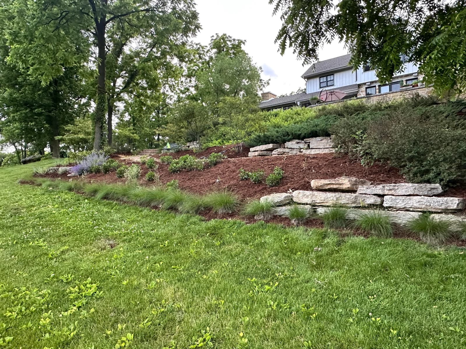 Fresh dark mulch on terraced beds with clean stone walls