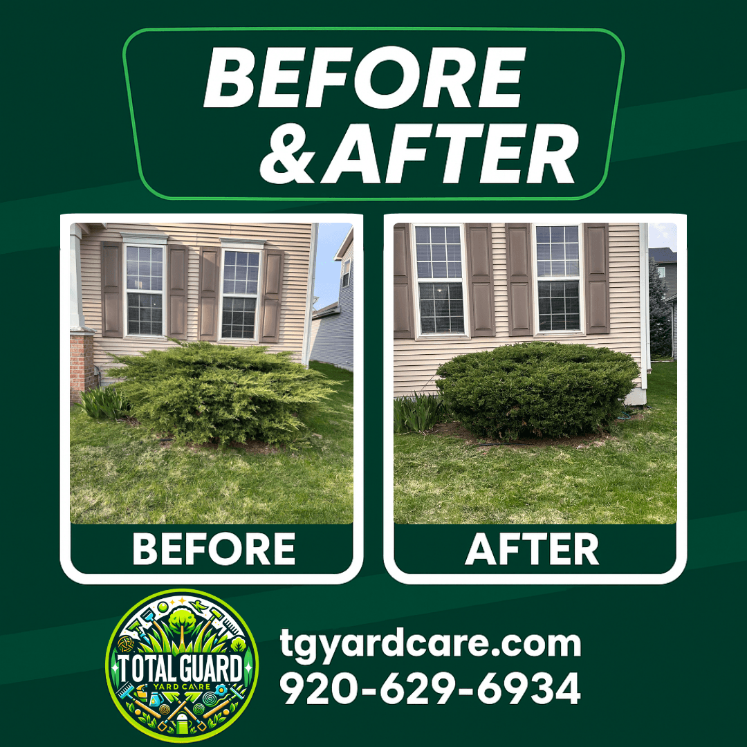 Professional lawn care before and after transformation showing dramatic improvement in lawn quality and appearance - TotalGuard Yard Care Madison WI project 1
