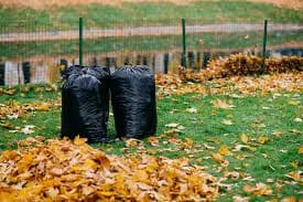 Fall Cleanup service - Professional lawn care in Madison Wisconsin by TotalGuard