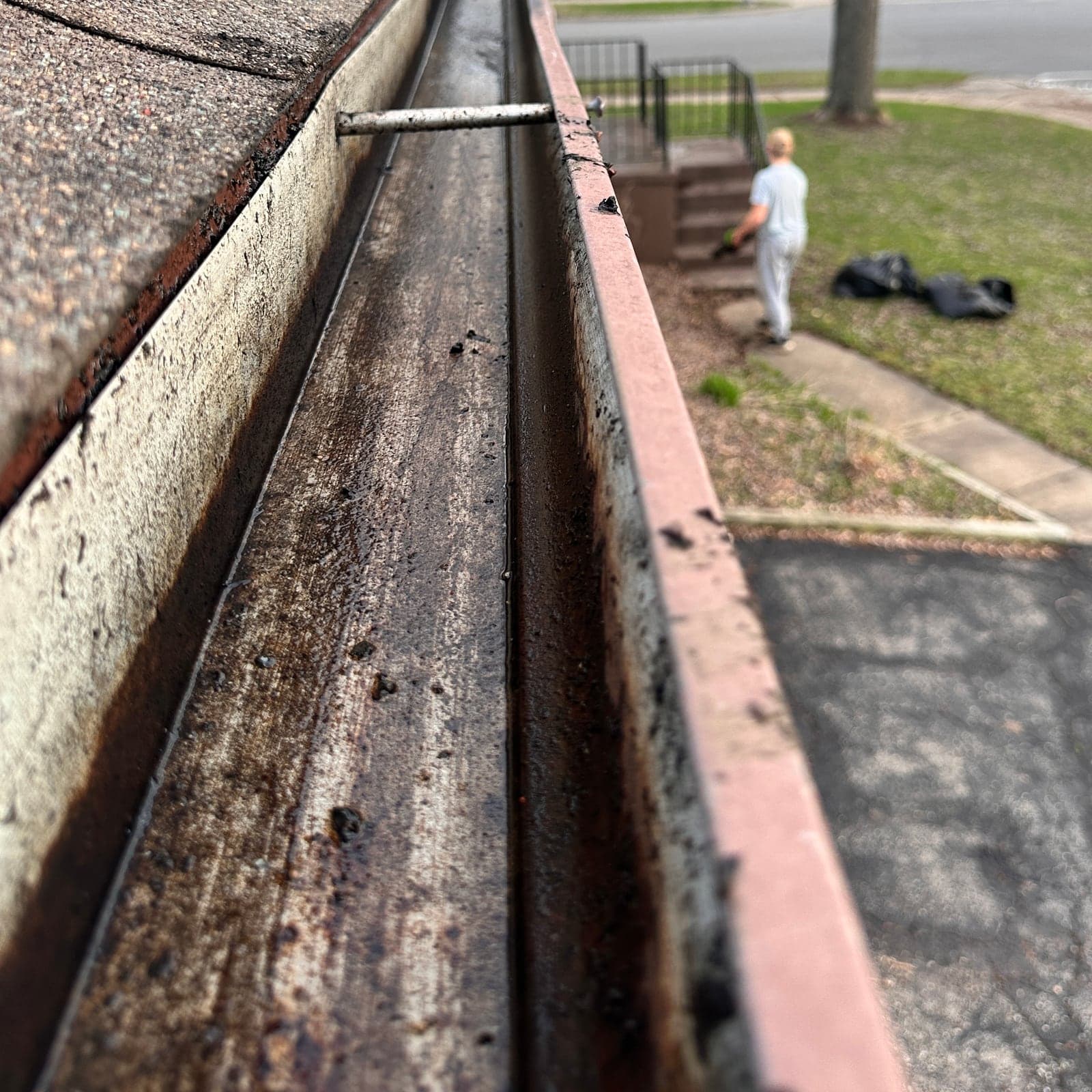 Gutter Cleaning service - Professional lawn care in Madison Wisconsin by TotalGuard