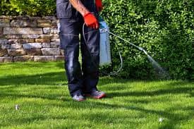 Herbicide Services service - Professional lawn care in Madison Wisconsin by TotalGuard