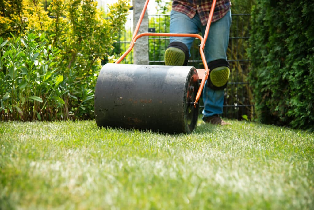 Lawn Rolling service - Professional lawn care in Madison Wisconsin by TotalGuard