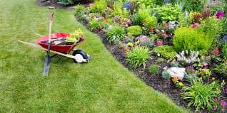 Spring Cleanup service - Professional lawn care in Madison Wisconsin by TotalGuard