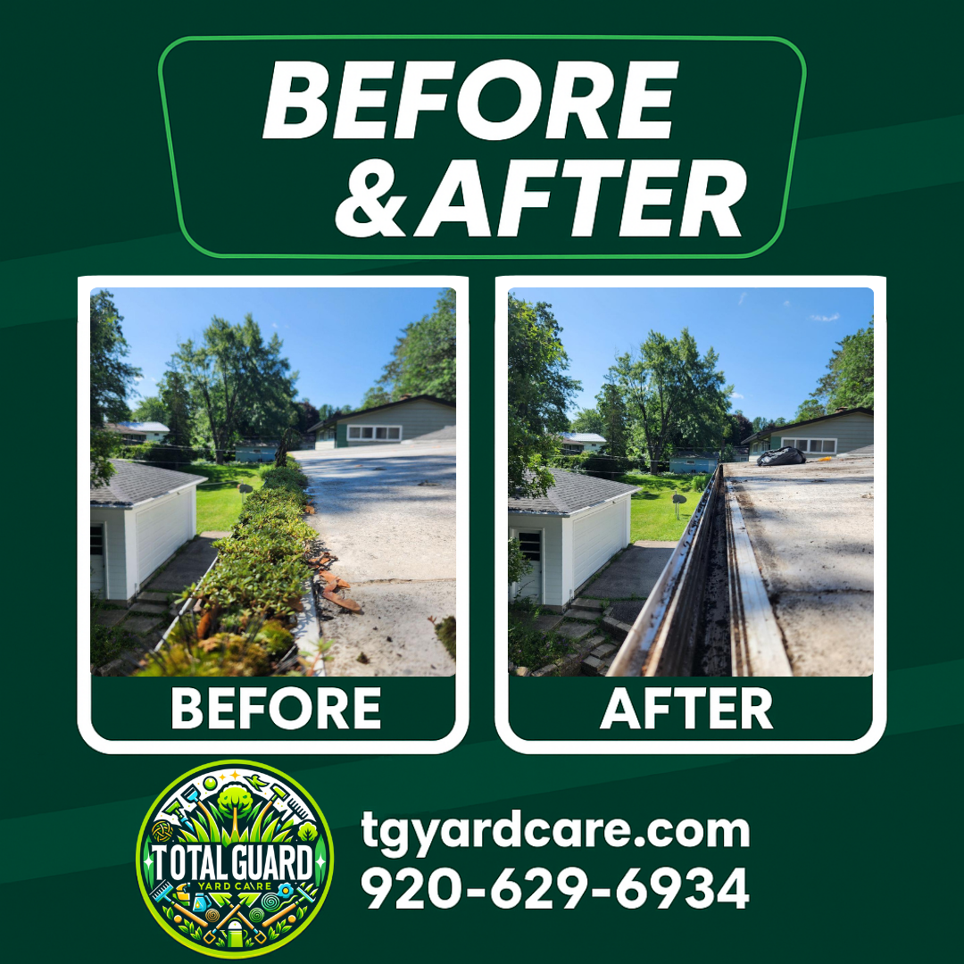 Professional lawn care before and after transformation showing dramatic improvement in lawn quality and appearance - TotalGuard Yard Care Madison WI project 1