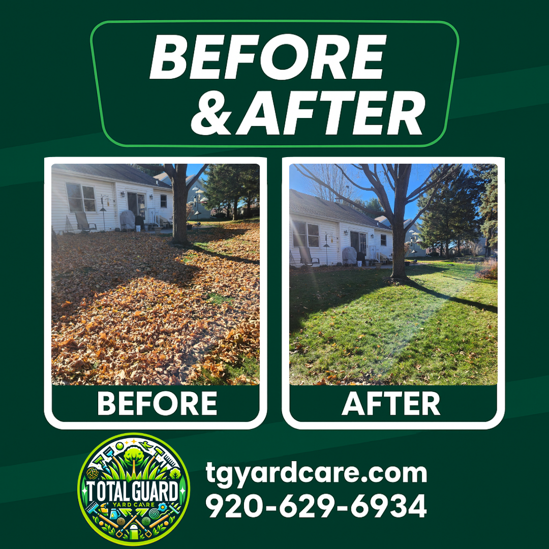 Professional lawn care before and after transformation showing dramatic improvement in lawn quality and appearance - TotalGuard Yard Care Madison WI project 1