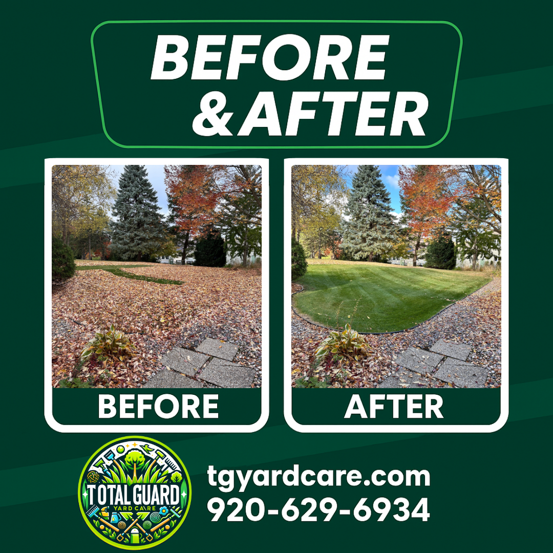 Professional lawn care before and after transformation showing dramatic improvement in lawn quality and appearance - TotalGuard Yard Care Madison WI project 2