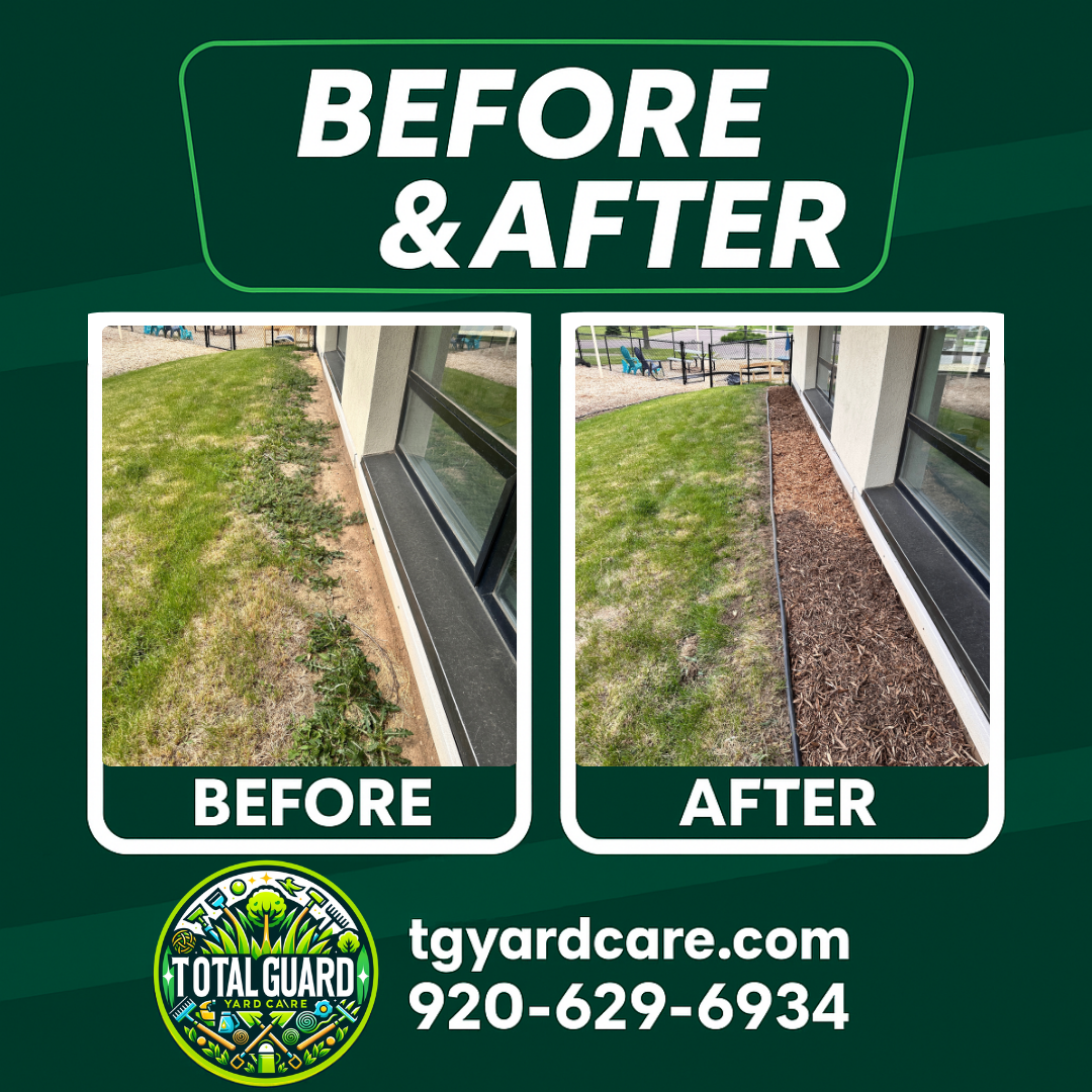 Professional lawn care before and after transformation showing dramatic improvement in lawn quality and appearance - TotalGuard Yard Care Madison WI project 1