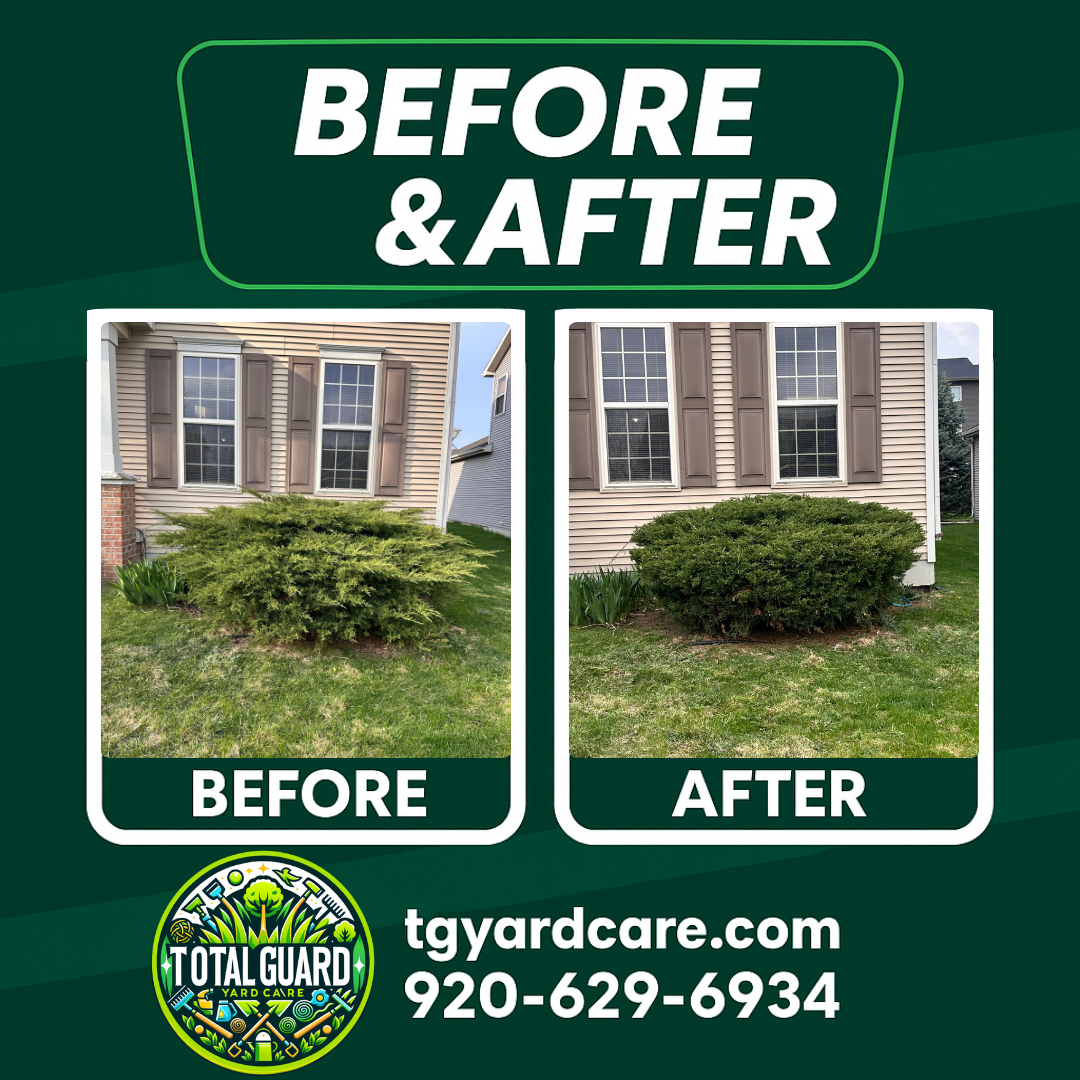 Pruning — Pruning Results — TotalGuard Yard Care Madison WI
